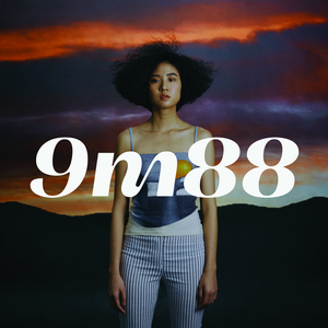 台湾春宵性启航
