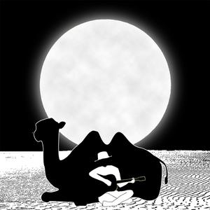 台湾春宵性启航
